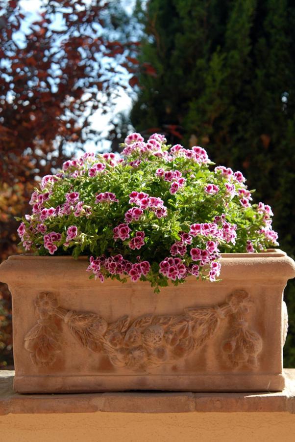 Tenuta Santagnese Montepulciano Stazione Екстериор снимка